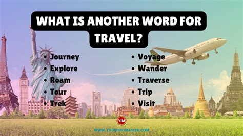 another word for travel bag